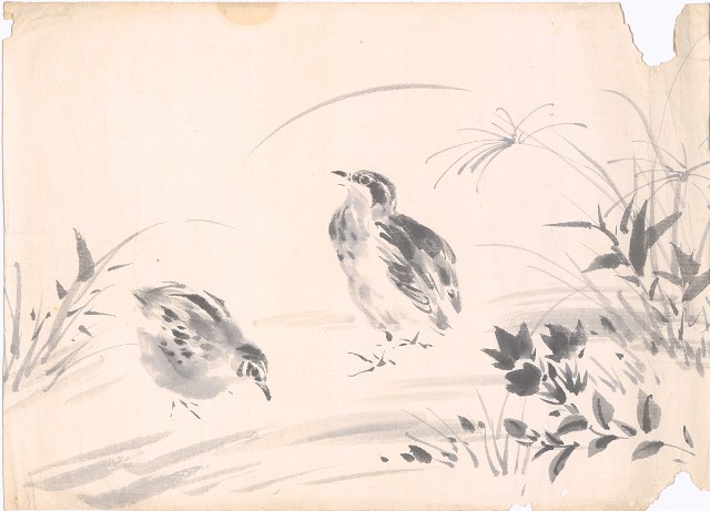 藏品:雙鶉的(1)張圖片