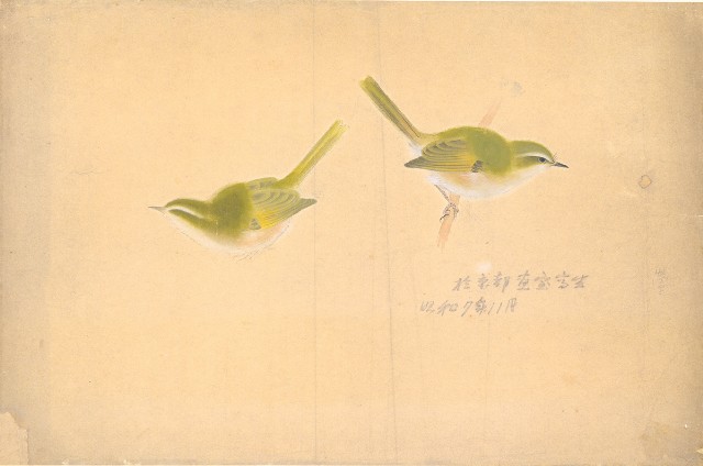 藏品:(1)鳥；(2)鳥的(1)張圖片