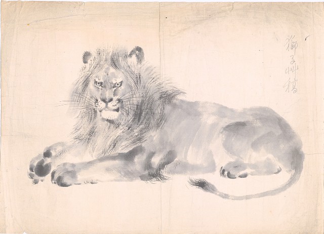 藏品:獅子草稿的(1)張圖片