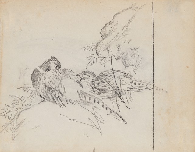 藏品:(1)一對雉雞；(2)一對雉雞的(1)張圖片