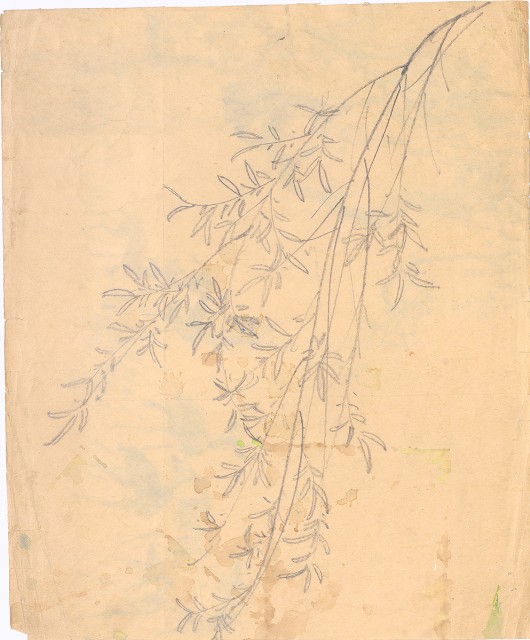 藏品:(1)遊鹿草稿；(2)像柳樹枝的(2)張圖片