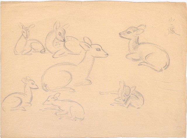 藏品:小鹿群的(1)張圖片