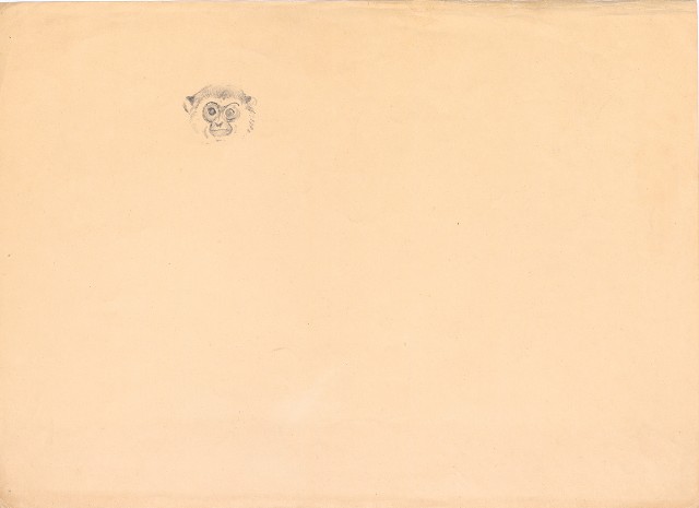 藏品:(1)夜鷺；(2)猴頭的(2)張圖片