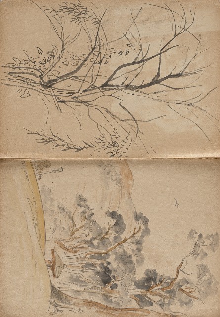 藏品:植物、動物、淡水景觀等寫生集的(2)張圖片