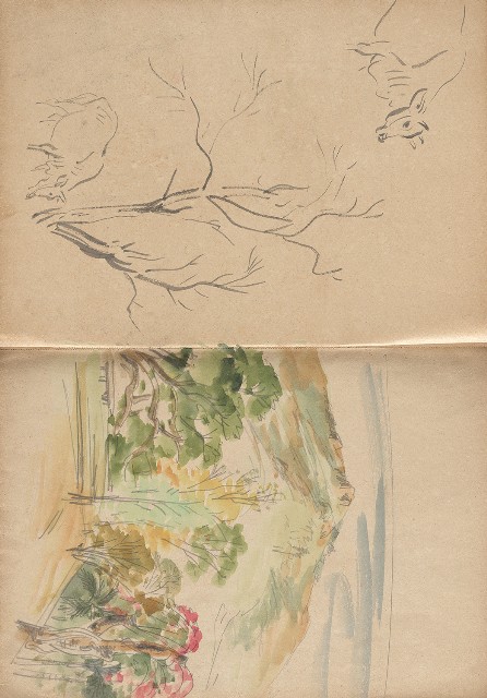 藏品:植物、動物、淡水景觀等寫生集的(3)張圖片