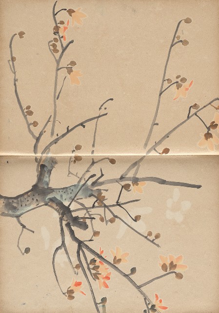 藏品:植物、動物、淡水景觀等寫生集的(7)張圖片