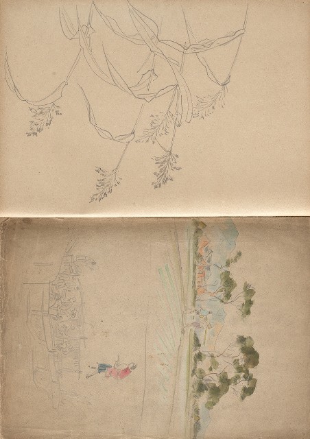 藏品:植物、動物、淡水景觀等寫生集的(10)張圖片