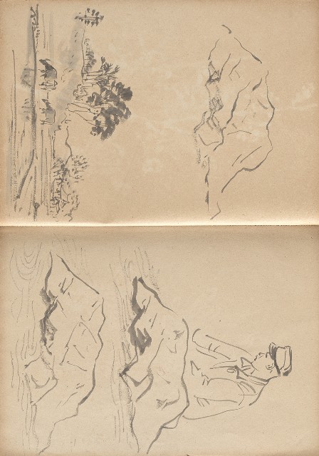 藏品:植物、動物、淡水景觀等寫生集的(13)張圖片