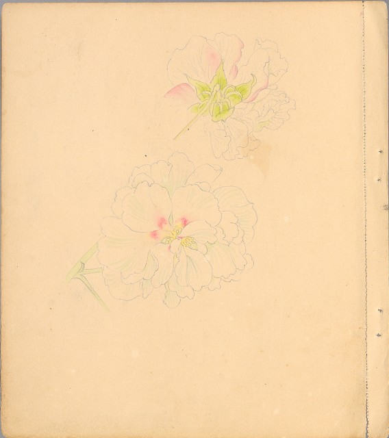 藏品:狗、人物、花、葡萄藤033的(2)張圖片