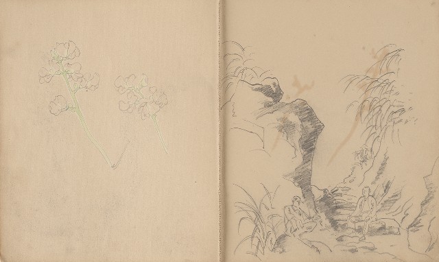 藏品:植物、動物、人物及關子嶺景觀等寫生集的(3)張圖片