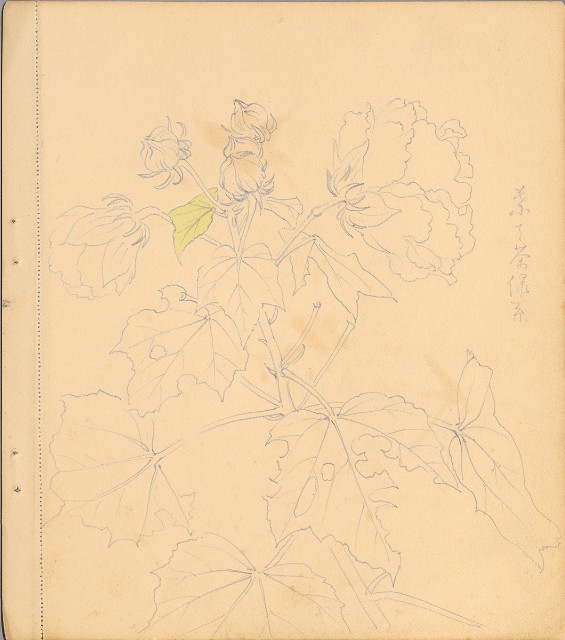 藏品:狗、人物、花、葡萄藤033的(3)張圖片