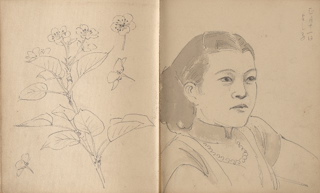 藏品:植物、動物、人物及關子嶺景觀等寫生集的(11)張圖片