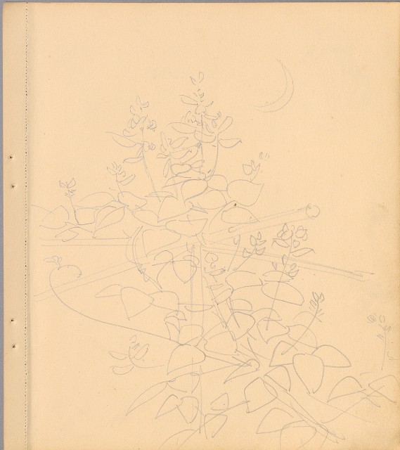 藏品:狗、人物、花、葡萄藤033的(11)張圖片