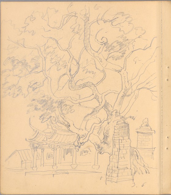 藏品:狗、人物、花、葡萄藤033的(14)張圖片