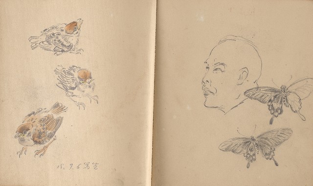 藏品:植物、動物、人物及關子嶺景觀等寫生集的(16)張圖片