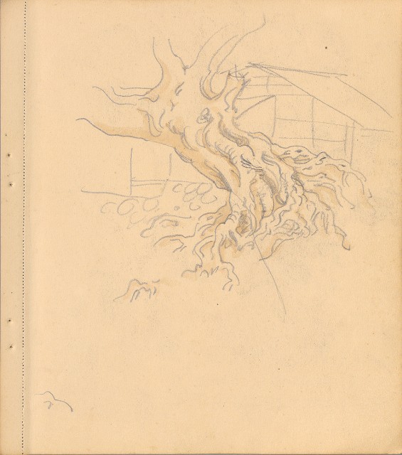 藏品:狗、人物、花、葡萄藤033的(15)張圖片