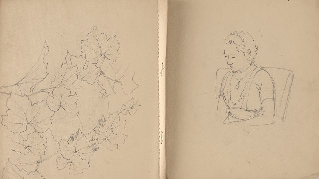 藏品:植物、動物、人物及關子嶺景觀等寫生集的(20)張圖片