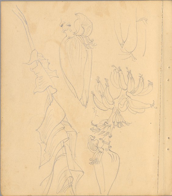 藏品:植物、動物、人物及關子嶺景觀等寫生集的(26)張圖片