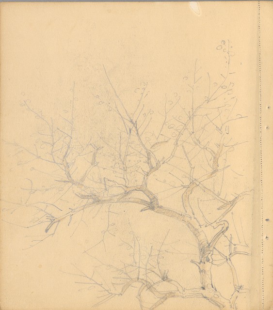 藏品:狗、人物、花、葡萄藤033的(28)張圖片