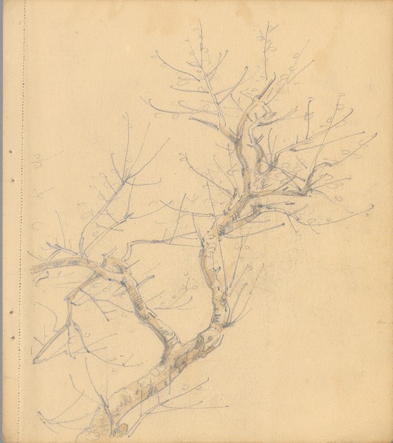 藏品:狗、人物、花、葡萄藤033的(29)張圖片