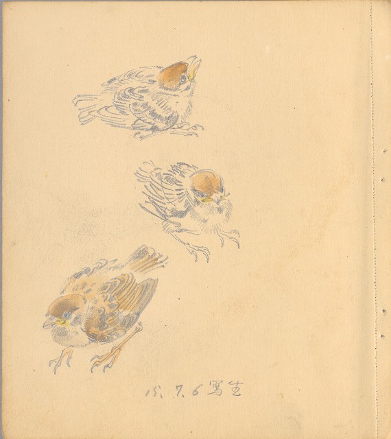 藏品:狗、人物、花、葡萄藤033的(30)張圖片