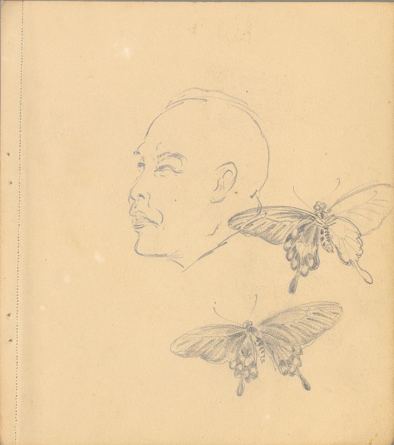 藏品:狗、人物、花、葡萄藤033的(31)張圖片