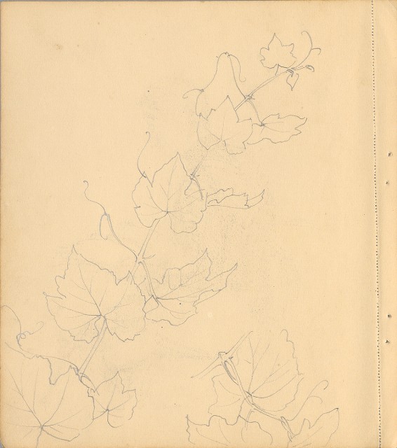 藏品:狗、人物、花、葡萄藤033的(34)張圖片