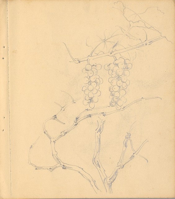 藏品:狗、人物、花、葡萄藤033的(36)張圖片