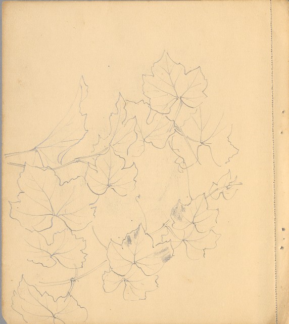 藏品:狗、人物、花、葡萄藤033的(38)張圖片