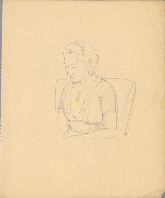 藏品:植物、動物、人物及關子嶺景觀等寫生集的(39)張圖片