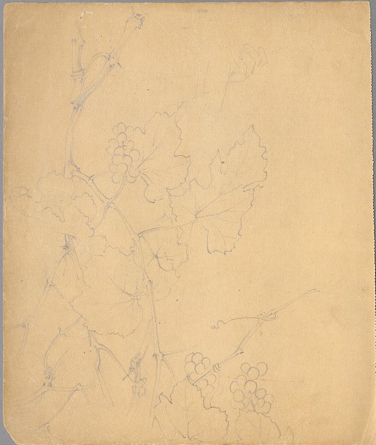 藏品:狗、人物、花、葡萄藤033的(40)張圖片