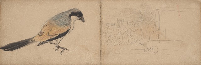 藏品:日本東京、臺南及嘉義景觀、人物、動物等寫生集的(7)張圖片