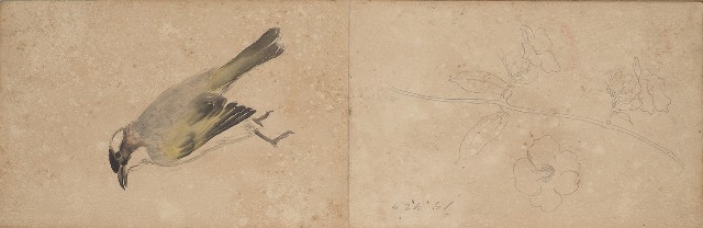 藏品:日本東京、臺南及嘉義景觀、人物、動物等寫生集的(20)張圖片