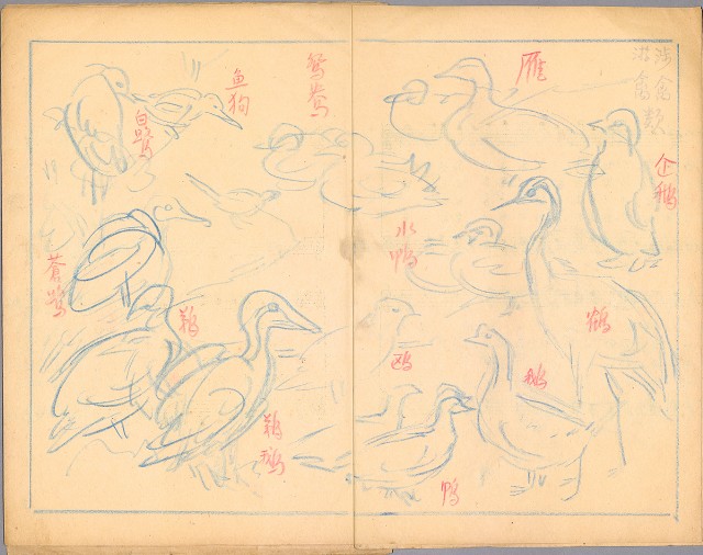 藏品:兒童繪本-禽類篇035B的(4)張圖片