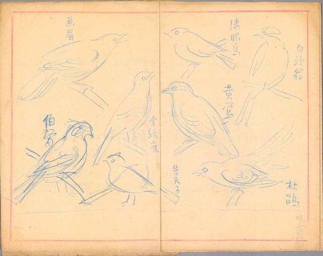 藏品:兒童繪本-禽類篇035B的(5)張圖片