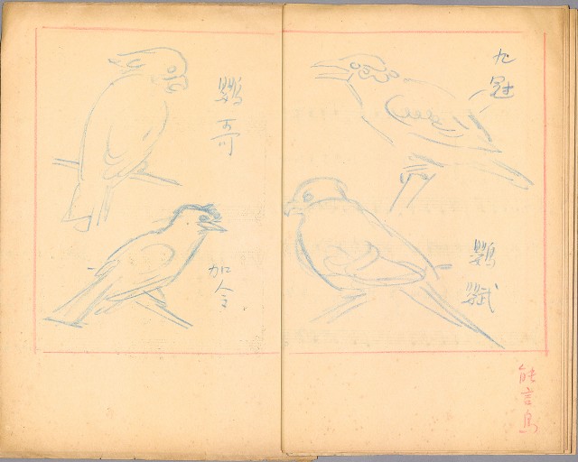 藏品:兒童繪本-禽類篇035B的(8)張圖片