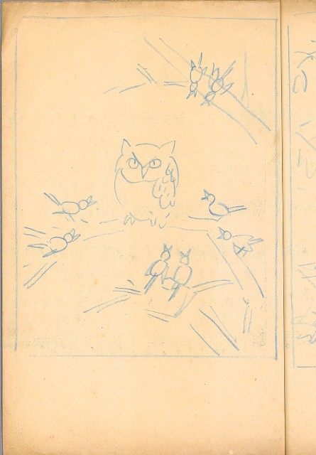 藏品:兒童繪本-禽類篇035B的(10)張圖片