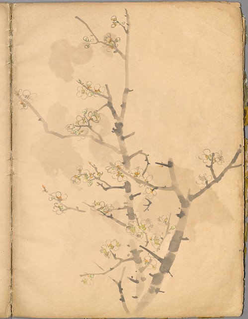 藏品:花草、鳥、魚等036的(23)張圖片