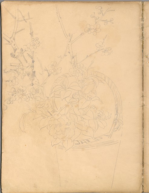 藏品:花草、鳥、魚等036的(24)張圖片