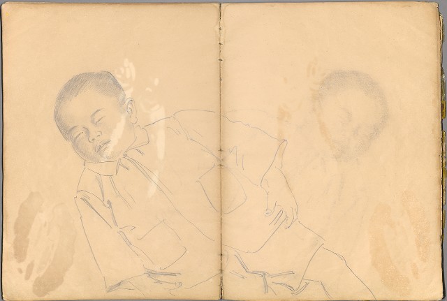 藏品:花草、鳥、魚等036的(25)張圖片