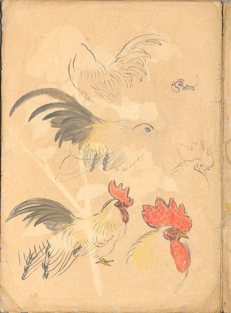 藏品:日治時期動物及植物、景觀等寫生集的(9)張圖片