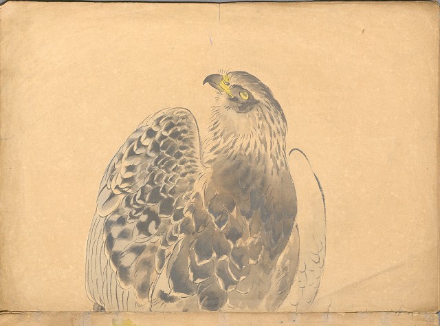 藏品:日治時期動物及植物、景觀等寫生集的(14)張圖片