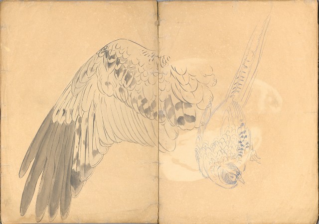 藏品:花、鳥等037的(15)張圖片