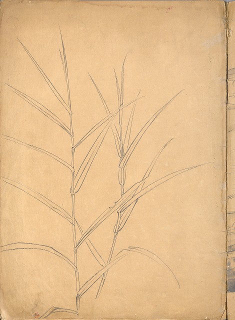 藏品:花、鳥等037的(17)張圖片