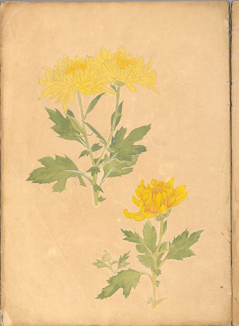 藏品:花、鳥等037的(32)張圖片