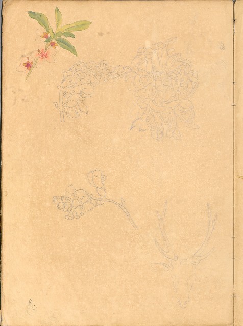 藏品:花、鳥等037的(36)張圖片