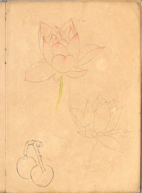 藏品:花、鳥等037的(38)張圖片