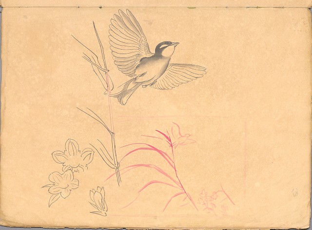 藏品:花、鳥等037的(45)張圖片