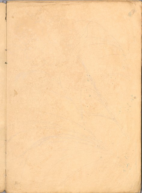 藏品:花、鳥等037的(46)張圖片