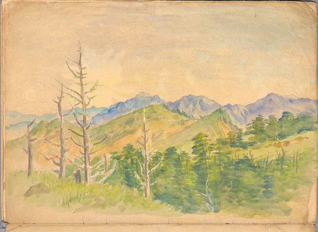 藏品:花、鳥等037的(50)張圖片